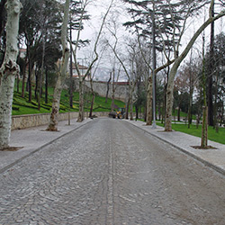 Beykoz Korusu Peyzaj Yapm 