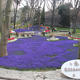 Glhane 2014-2015 Peyzaj Bakm ii