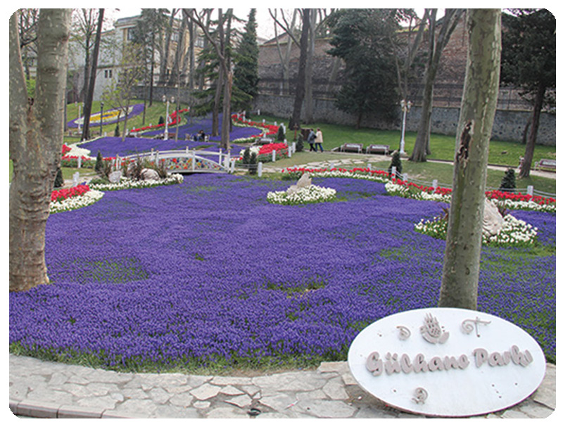 Glhane 2014-2015 Peyzaj Bakm i