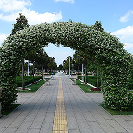 Kadky-Gztepe Parklar Peyzaj Bakm i
