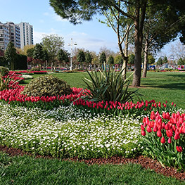 Kadky-Gztepe Parklar Peyzaj Bakm i