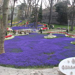Glhane 2014-2015 Peyzaj Bakm i