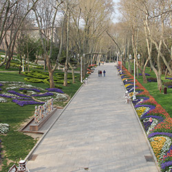 Gülhane 2014-2015 Peyzaj Bakım