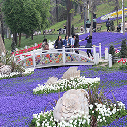 Gülhane 2014-2015 Peyzaj Bakım