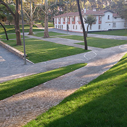 Orhan Veli Kank Park Peyzaj