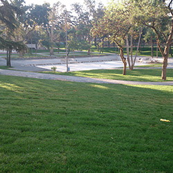 Orhan Veli Kank Park Peyzaj